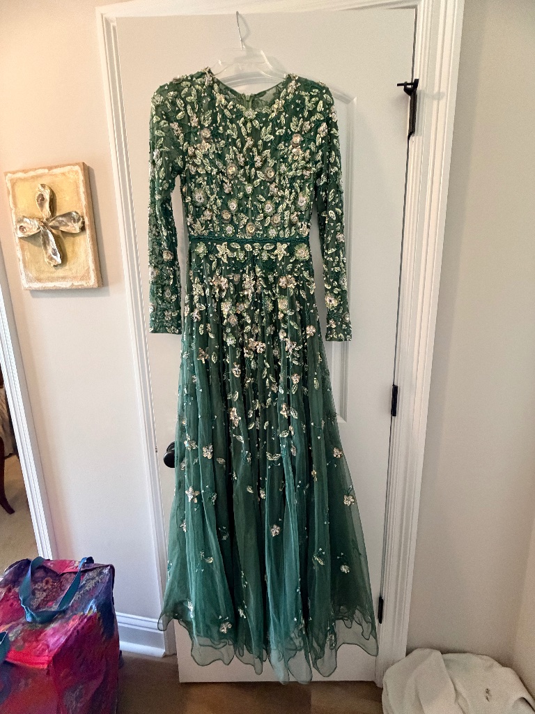 Green Embellished High Neck Long Sleeve A Line Gown